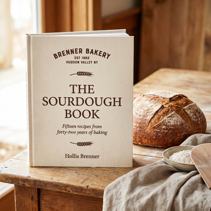 The Sourdough Book E-Book